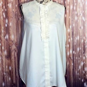 Ann Taylor Sheer Blouse